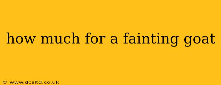 how much for a fainting goat