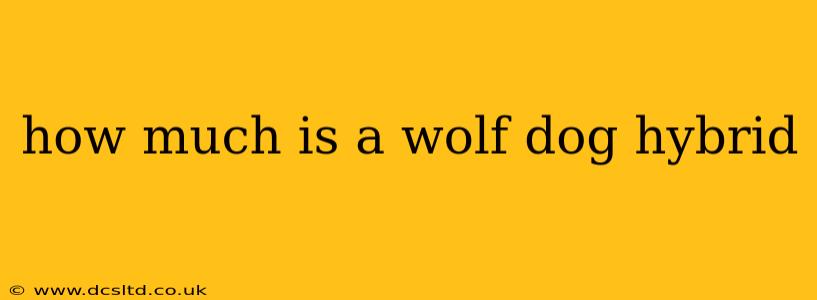how much is a wolf dog hybrid