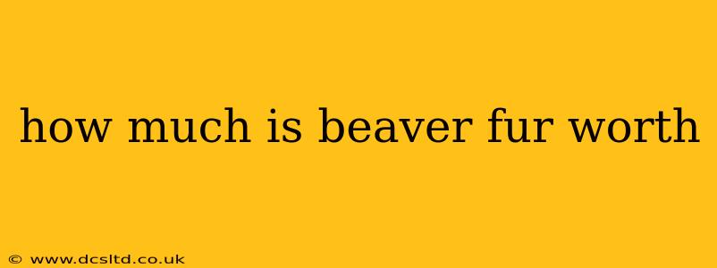how much is beaver fur worth