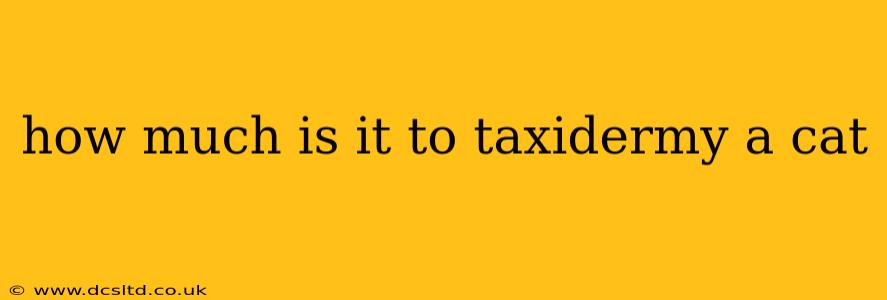 how much is it to taxidermy a cat