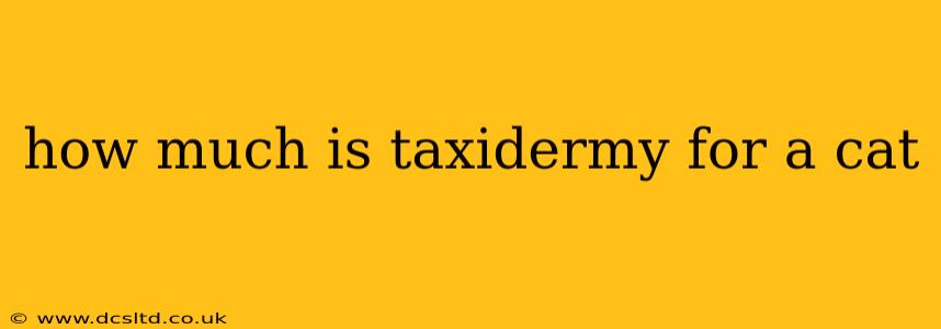 how much is taxidermy for a cat