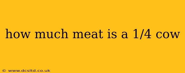how much meat is a 1/4 cow