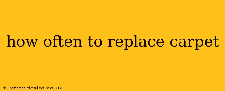 how often to replace carpet