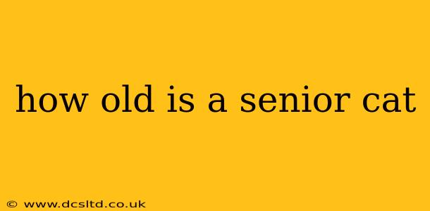 how old is a senior cat