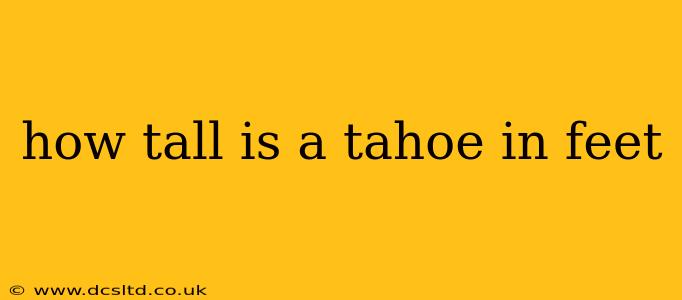 how tall is a tahoe in feet