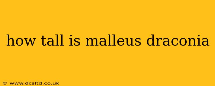 how tall is malleus draconia