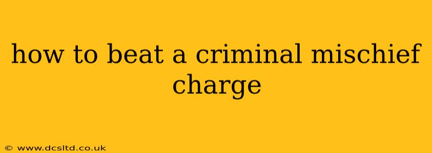 how to beat a criminal mischief charge