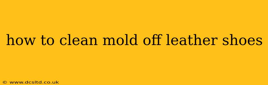 how to clean mold off leather shoes