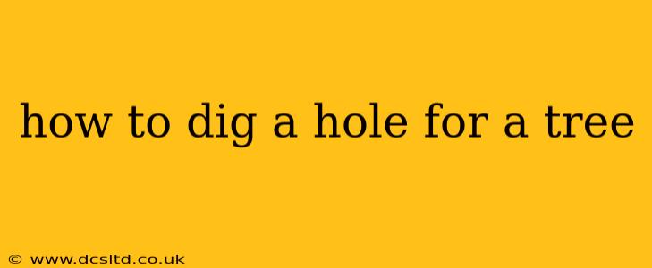 how to dig a hole for a tree