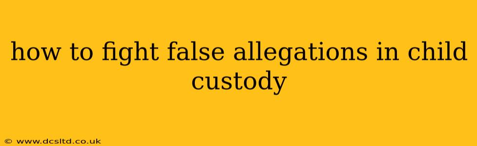 how to fight false allegations in child custody