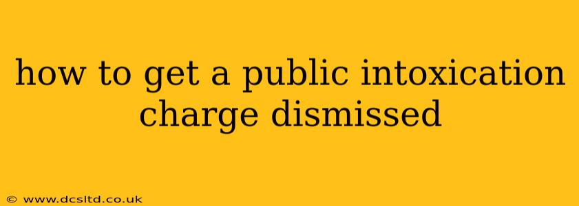 how to get a public intoxication charge dismissed