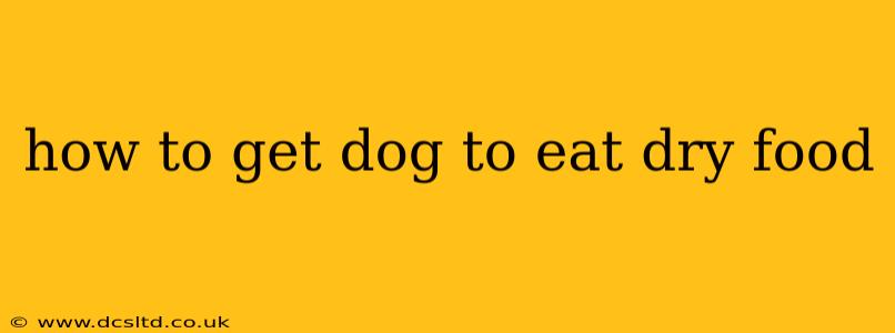 how to get dog to eat dry food