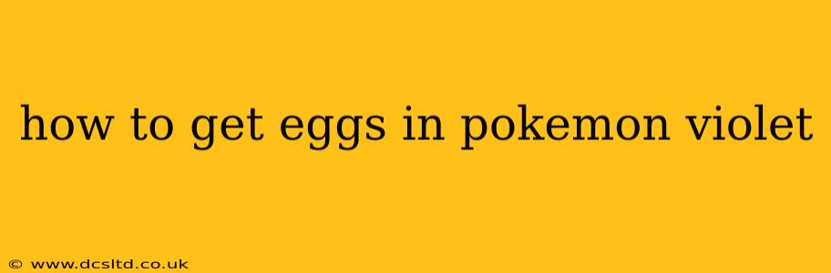 how to get eggs in pokemon violet