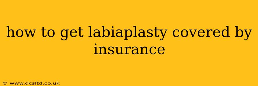 how to get labiaplasty covered by insurance