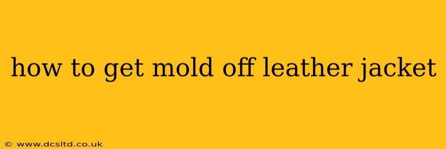 how to get mold off leather jacket