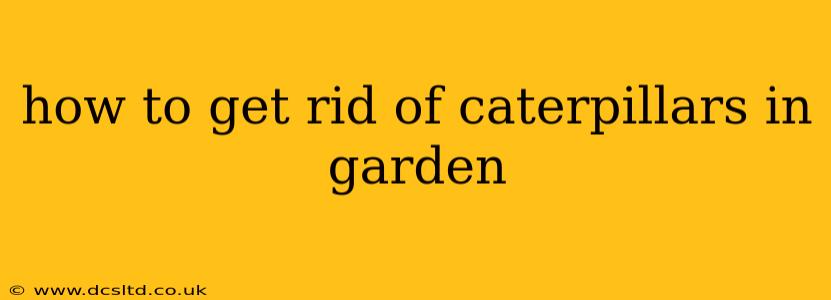 how to get rid of caterpillars in garden