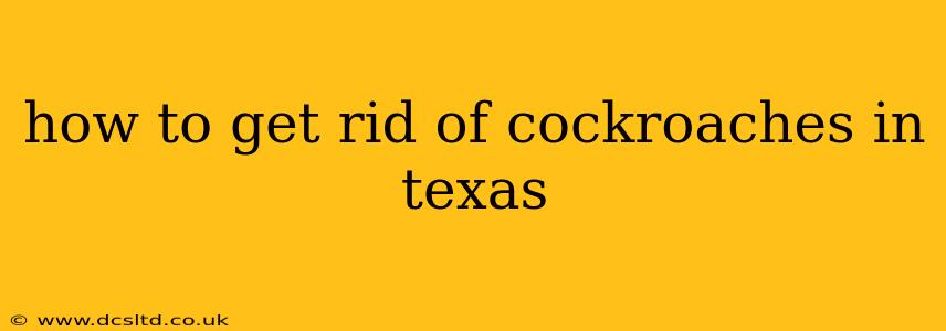 how to get rid of cockroaches in texas