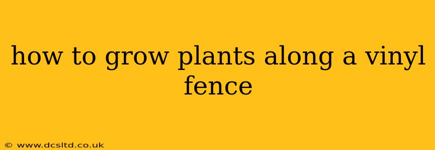 how to grow plants along a vinyl fence