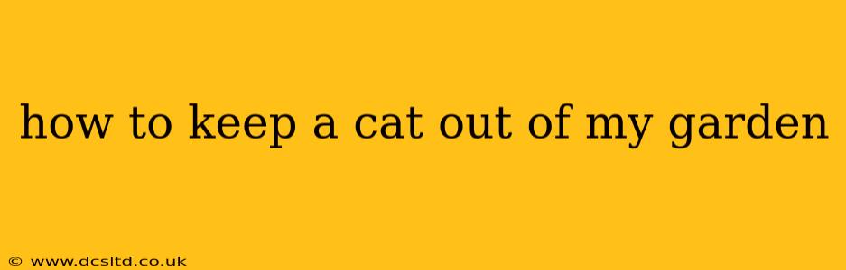 how to keep a cat out of my garden
