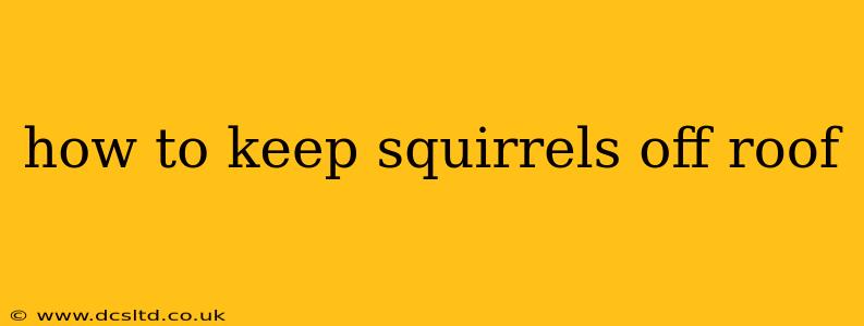 how to keep squirrels off roof