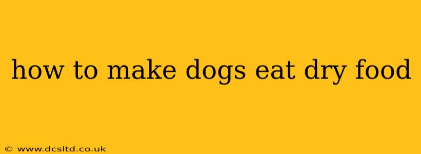 how to make dogs eat dry food