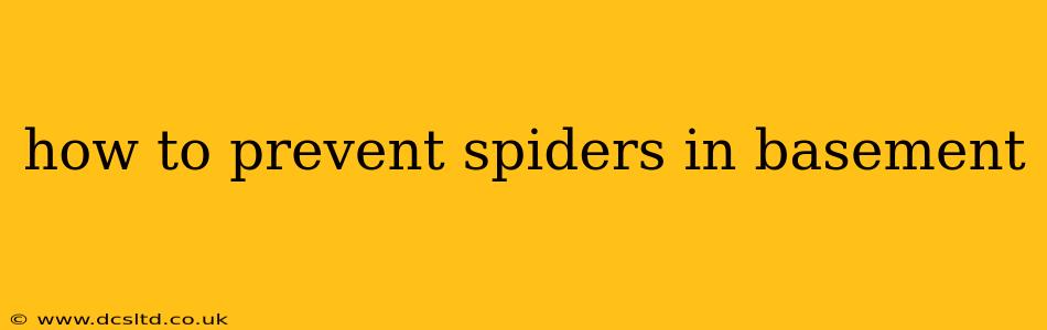 how to prevent spiders in basement