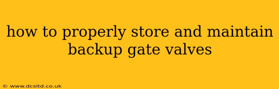 how to properly store and maintain backup gate valves