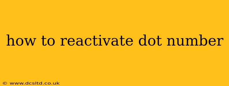how to reactivate dot number