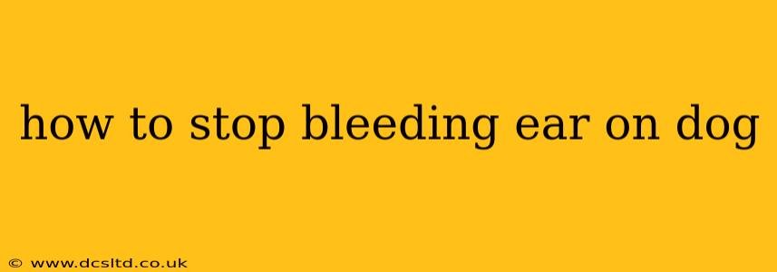 how to stop bleeding ear on dog