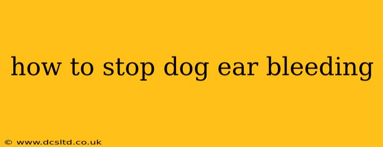 how to stop dog ear bleeding
