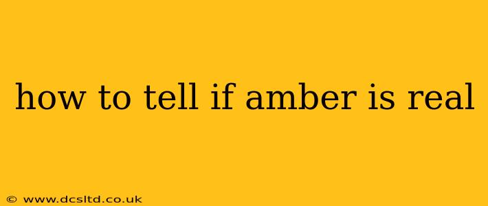 how to tell if amber is real