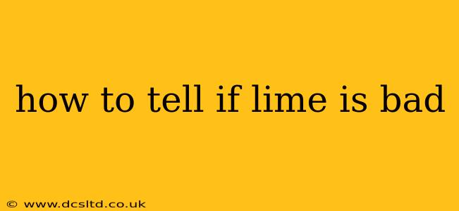 how to tell if lime is bad