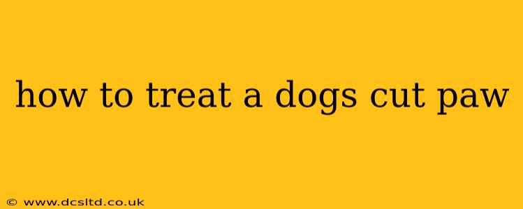how to treat a dogs cut paw