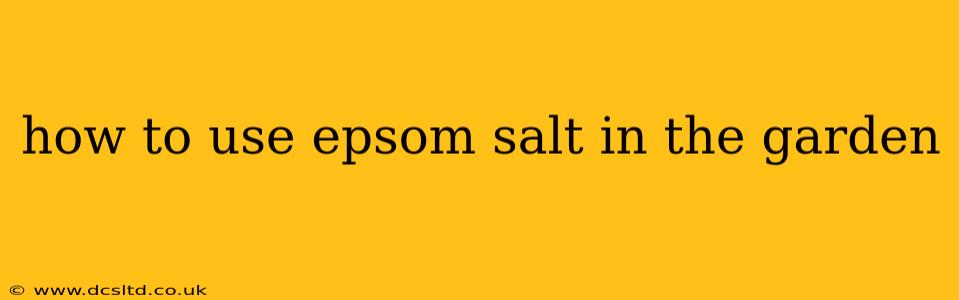 how to use epsom salt in the garden