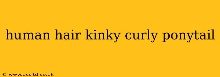 human hair kinky curly ponytail
