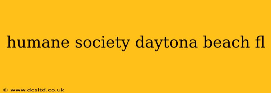 humane society daytona beach fl