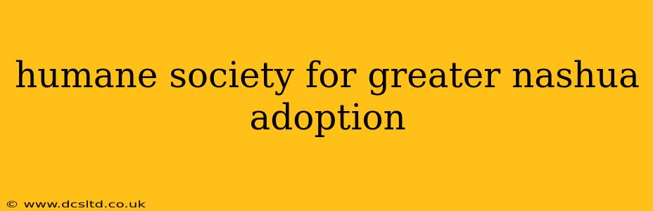 humane society for greater nashua adoption