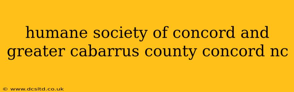 humane society of concord and greater cabarrus county concord nc