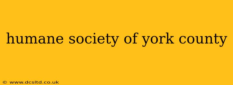 humane society of york county