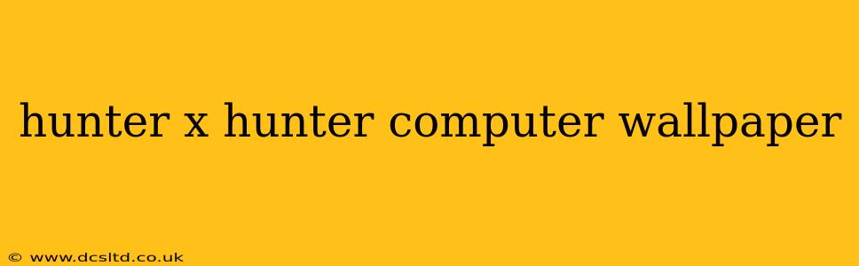 hunter x hunter computer wallpaper