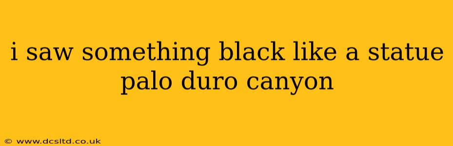 i saw something black like a statue palo duro canyon