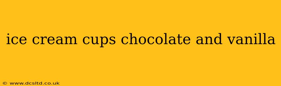 ice cream cups chocolate and vanilla