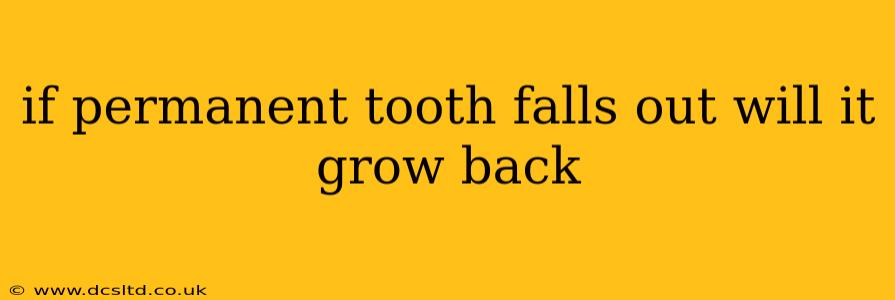 if permanent tooth falls out will it grow back