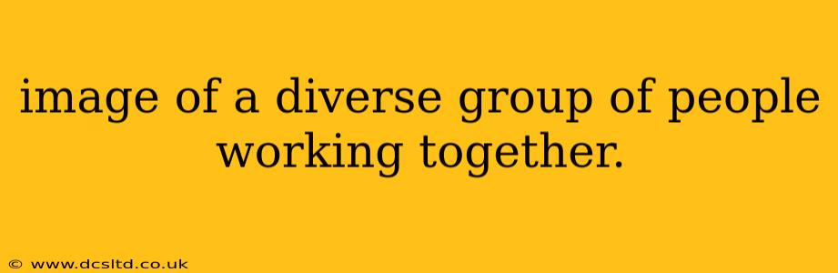 image of a diverse group of people working together.