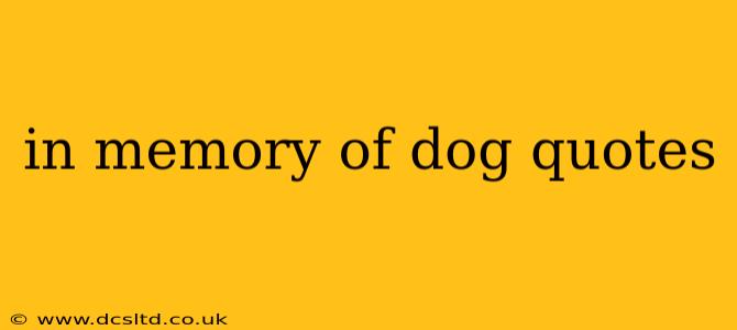 in memory of dog quotes