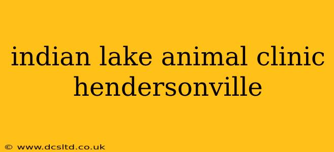 indian lake animal clinic hendersonville