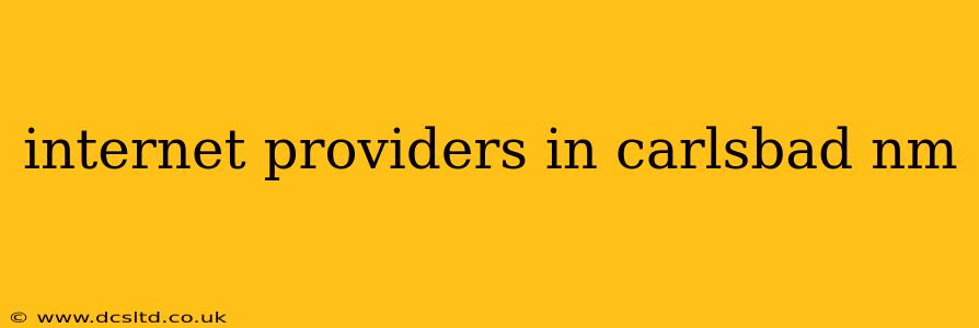 internet providers in carlsbad nm