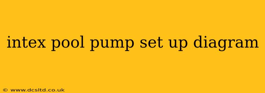 intex pool pump set up diagram