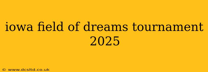 iowa field of dreams tournament 2025