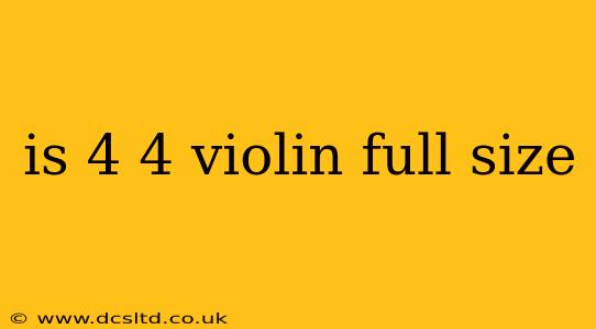 is 4 4 violin full size